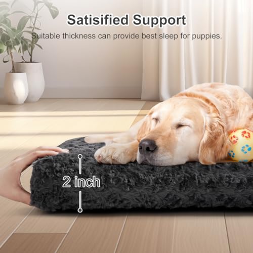 VERZEY Dog Beds Crate Pad Mat for Small Dogs,Fits Dog Crate Kennel Cage,Comfortable Soft Fluffy Cushion, Anti-Slip Pets Puppy Cat Pillow Bed (24" L x 18" W, Dark Gray)