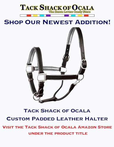Tack Shack of Ocala Leather Halter with Customized Engraved Name Plate Option Halter for Horse | Brown/Brass, Padded Halter (Blue or Green) Black/Brass, Black/Chrome Options (Weanling/Small Pony)