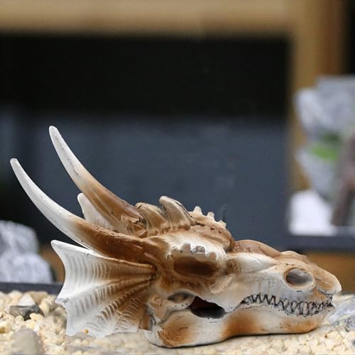 DUZFOREI Reptile Hideouts Terrarium Decor, Aquarium and Fish Tank Decorations Fish Tank Accessories Reptiles Hideout Habitat Aquarium Decor (Dragon Imitation Skull Model)