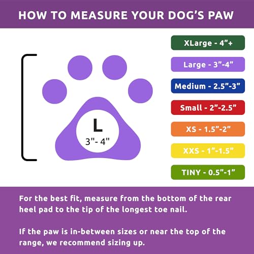 Pawz Dog Boots Pawz Protective Dog Boots To 4 Inch Large Purple - 12 Count