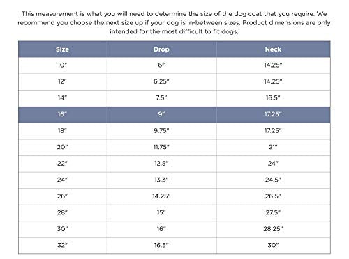 WeatherBeeta ComFiTec Reflective Parka 300D Deluxe Dog Coat, Yellow, 32"