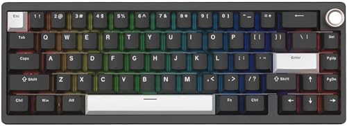 Womier SK65 Wireless Mechanical Gaming Keyboard, 60 Percent Retro Creamy Black Aluminium Keyboard, Bluetooth 5.0/2.4GHz/USB-C Wired Hot Swappable Custom RGB Backlit Keyboard for Mac Computer PC