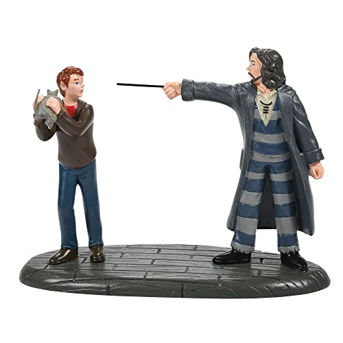 Department 56 Harry Potter Village Accessories Come Out and Play Peter Sirius Black Figurine, 3.05 Inch, Multicolor
