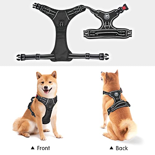 PoyPet No Pull Dog Harness, No Choke Reflective Dog Vest, Adjustable Pet Harnesses with Easy Control Padded Handle for Small Medium Large Dogs(Tumalo Teal,S)