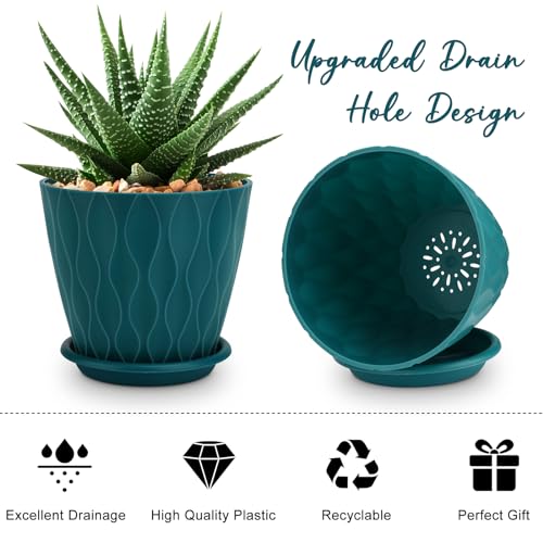 YNNICO 6 inch Plant Pots, 5 Pack Flower Pots Outdoor Indoor, Planters with Drainage Hole and Tray Saucer.