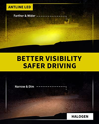 Antline Super Bright H1 LED Bulb Golden Yellow Version 3570 CSP-Chips LED Fog Lights DRL Replacement (Pack of 2)