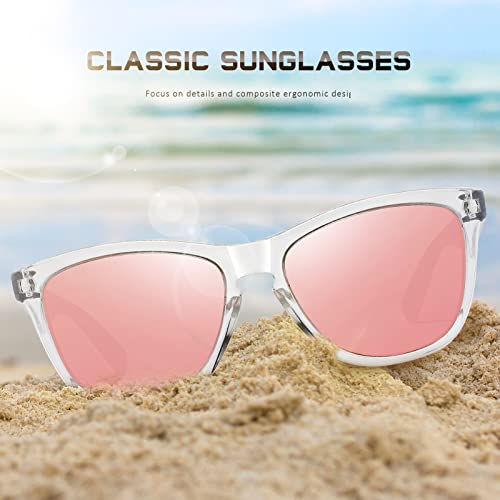 DANAMY Sunglasses Womens Polarized Sunglasses for Women Men Classic Retro Designer Style Trendy Mirrored Sun Glasses