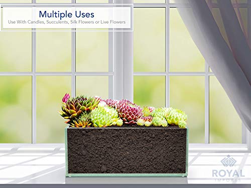 Royal Imports Flower Glass Vase Decorative Centerpiece for Home or Wedding Oblong Rectangle Shape (8", Clear)