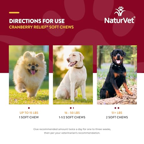 NaturVet – Cranberry Relief Plus Echinacea – Helps Support a Healthy Urinary Tract & Immune System – 120 Soft Chews