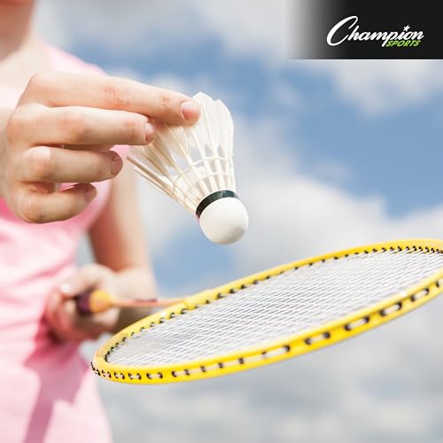 Champion Sports Backyard & Beach Volleyball: Outdoor Sports Equipment Portable Game Set with Ball and Net for Girls, Boys, Women, Men, Clubs & Schools
