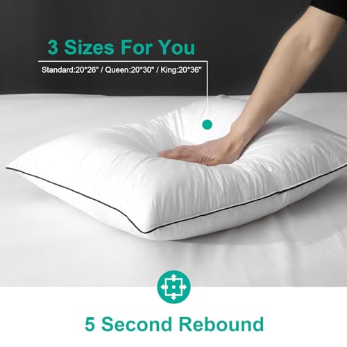 APSMILE Medium Firm Feather Down Pillows Standard Size Pack of 1, Luxury Goose Feather Pillow for Sleeping, 600TC/DM Organic Cotton Cover Hotel Collection Bed Pillows (White, 20"x26")