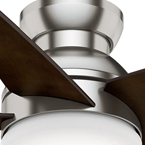 Casablanca Fan Company 59351 44" Isotope Ceiling Fan with Light with Wall Control, Small, Brushed Nickel Finish