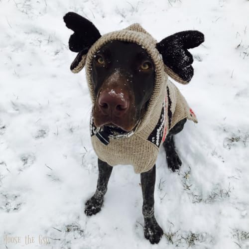 Chilly Dog Moosey Hoodie (XX-Small)