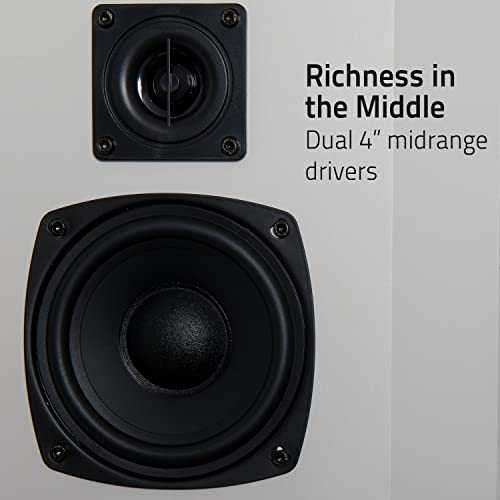 Fluance Elite High Definition 2-Way Bipolar Surround Speakers for Wide Dispersion Surround Sound in Home Theater Systems - Black Ash/Pair (SXBP2)
