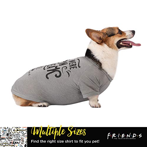 Friends the TV Show We were On A Break Dog T Shirt in Grey | Soft Dog Shirt, Machine Washable Pull-Over Dog Tshirt, Light Weight & Semi-Stretch | Size X-Small for All Small Dogs and Puppies