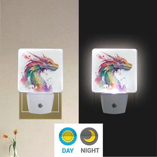 BOENLE Watercolor Dragon Night Lights 2 Pack Plug-in Wall Led Nightlight Auto Dusk-to-Dawn Sensor Lamps for Bedroom Kitchen Bathroom Hallway Stairs
