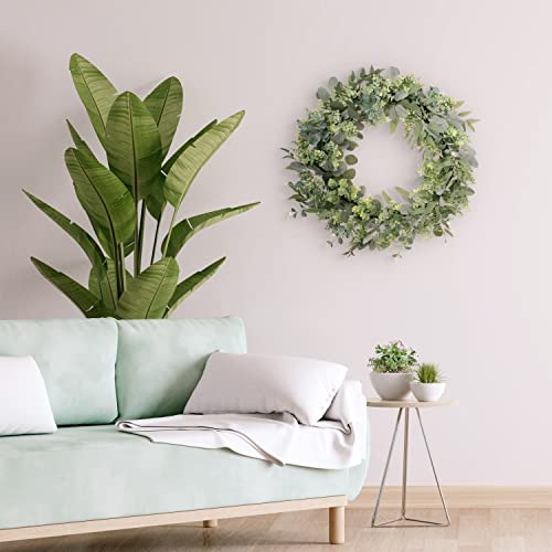 24" Artificial Eucalyptus Spring Wreath with Creeping Jenny Leaves