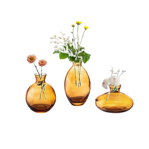 Small Vases for Centerpieces Glass Esmiome- Amber 3pcs/Set Bud Vases, Short Minimalist Vase Clear Modern Flower Vase Mini Tiny Vases Cute Handmade for Home Wedding Decor Decorative, Events Bookshelf