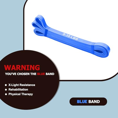 Resistance Bands Set, Pull Up Bands - Workout Bands, Eexercise Bands, Long Resistance Bands for Working Out, Fitness, Training, Physical Therapy for Men Women - Blue