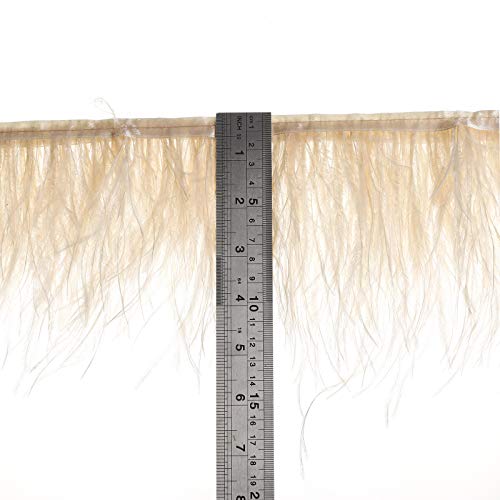 AWAYTR Ostrich Feather Trim Fringe - Satin Ribbon Dress Sewing Crafts Costumes Decoration Pack of 2 Yards (Beige)