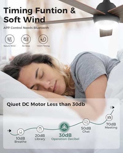 Ceiling Fan - 52 inch Outdoor Ceiling Fan with Light and Remote & APP Control, 6 Wind Speeds, 3 Color Temperatures, Smooth Dimming, Timing, Quiet Reversible DC Motor for Indoor and Outdoor-Gray