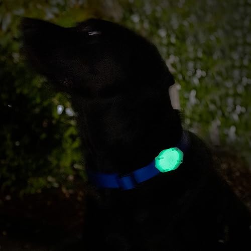 TagVault™ AirTag Dog Collar Mount (2 Pack) - IP68 Waterproof, Doesn't Dangle, Fits All Width Collars | Elevation Lab