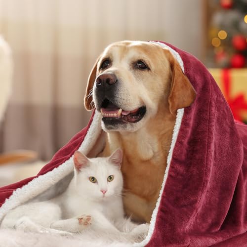 BEDELITE Sherpa Fleece Blanket Twin Size, Thick Warm Blankets for Winter, Reversible Soft & Cozy Fuzzy Blanket for Couch and Bed (Purple, 60" X 80")