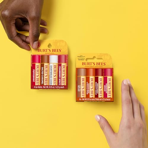 Burt's Bees Christmas Gifts, 4 Lip Balms Stocking Stuffers Products, Festive Fix Set - Peppermint, Salted Caramel, Cranberry Spritz & Shortbread Cookie (4-Pack)