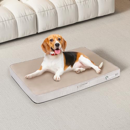 WEVEGO Medium Dog Bed, Orthopedic Dog Bed with Thick Gel Memory Foam Support, Durable Flannel Fabric with Removable Cover & Waterproof Liner Dog Beds