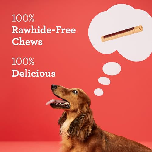 DreamBone DreamSticks, Rawhide Free Dog Chew Sticks Made with Real Chicken and Vegetables, 9 Sticks