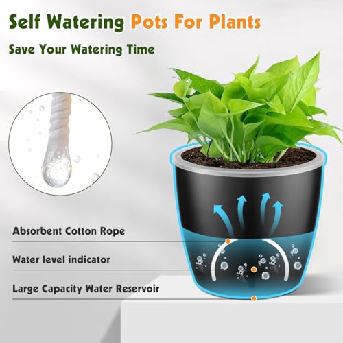 KvyusFlourish Self Watering Pots for Indoor Plants, 6-Pack 6.7'' Self Watering Planter with Drainage Holes, Small African Violet Pots with Water Indicator, Clear Wick Orchid Pot, White