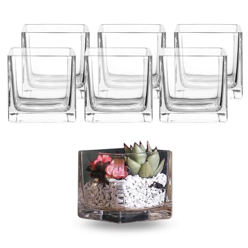 Whole Housewares Square Glass Flower Vase Centerpiece Set - 6 Pack Botanical Arrangements and Candle Holder Decoration - Thick Glass and A Stable Weighted Bottom - Clear Cube, 3.9"L x 3.9"W x 3.9"H