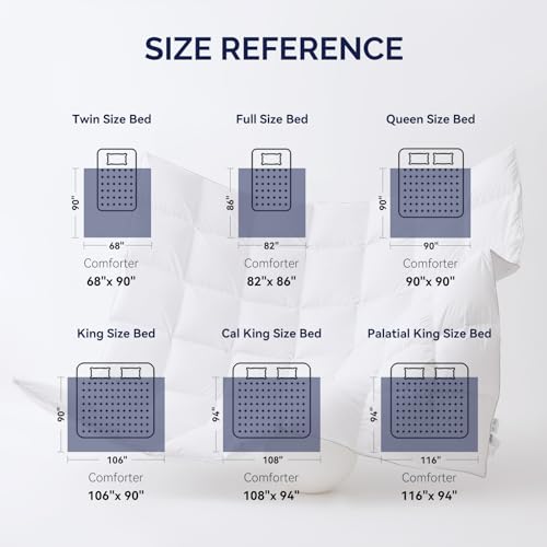 Acrafsman 3M Thinsulate Feather Down Duvet Insert Twin Comforter, All Season Twin Down Comforter, Bed Comforter White 68x90 Inches