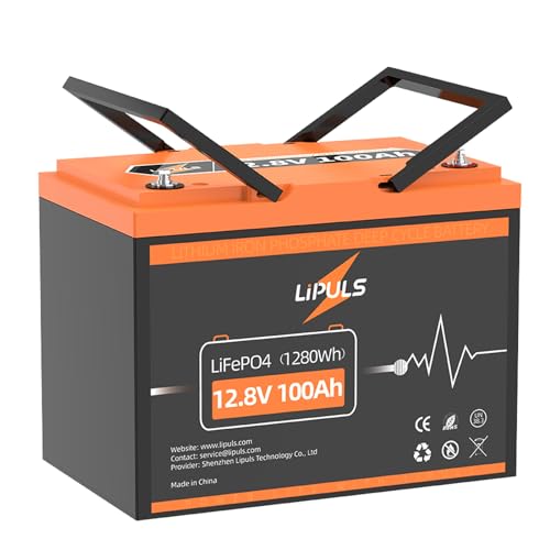 LIPULS 12V100Ah MINI LiFePO4 Lithium Battery, Super Light&Mini, Max.1280Wh, 100A BMS Deep Cycle Li Battery, 15000 Cycles Lithium Ion Battery, Perfect for Trolling Motor, RV, Van, Camping, Solar Panel.