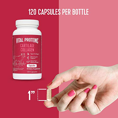 Vital Proteins Cartilage Collagen Pills, Type II Collagen & Chondroitin Sulfate Supplement for Recovery & Healthy Hair, Skin, Nails and Joints - 750 mg Serving with 120 Capsules