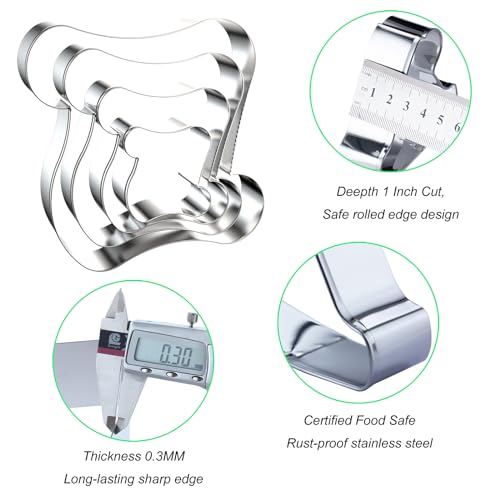 Scroll Cookie Cutter Set - 5 inch, 4 inch, 3 inch, 2 inch - 4 Piece Scroll Letter Paper Map Plaque Frame Cookie Cutters Shapes Molds - Stainless Steel