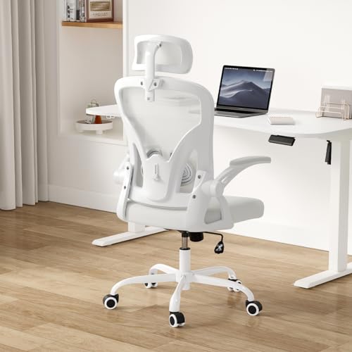 Farini Ergonomic Office Chair, Home Office Desk Chair with Headrest, High Back Computer Chair with Flip-up Armrests and Adjustable Lumbar Support for Home Office Study Room (with Headrest, All-White)