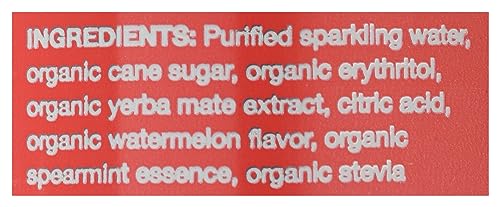 Clean Cause Organic Sparkling Watermelon Mint Yerba Mate, 16 FZ