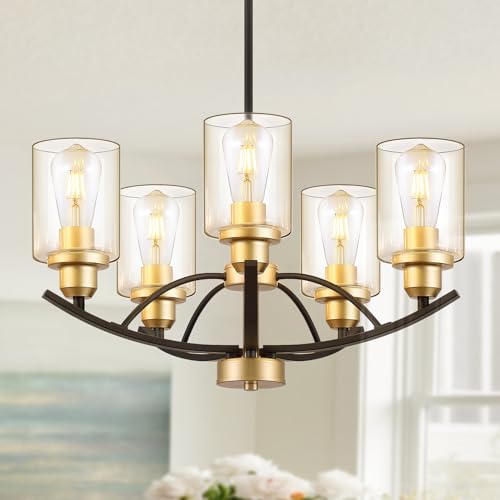 9MMML 5 Lights Glass Chandelier,Wrought Iron Pendant Light Fixtures, Gold+Black Finish Kitchen Island Lighting for Dining&Living Room Foyer Bar