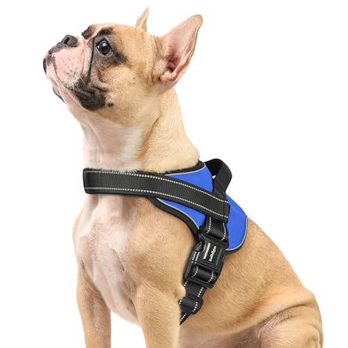 rabbitgoo Dog Harness Small Sized, No Pull No Choke Pet Vest, Easy Wearing with One Buckle, Reflective, Adjustable Pet Harness with Molle for Walking, Training, Blue, S