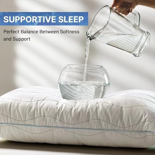 felo Feather Down Pillow Queen Size, CloudFusion Goose Down Pillow for Sleeping, Hotel Collection Bed Pillow for Side Back Pain Sleepers (20" x 30")