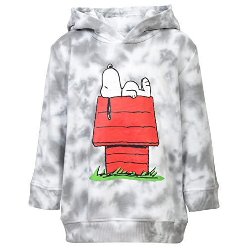 PEANUTS Snoopy Toddler Boys Fleece Pullover Hoodie Tie Dye 4T