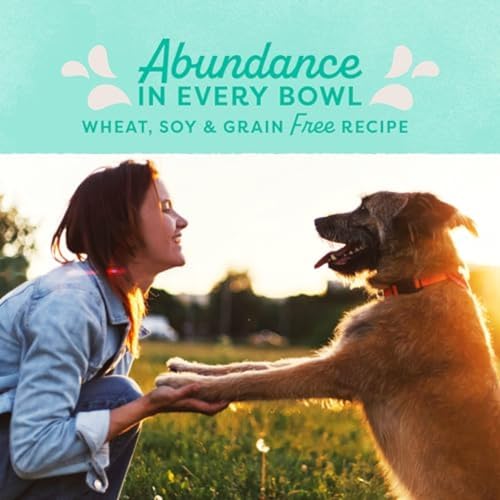 Natural Balance Original Ultra Grain-Free Chicken | All Life Stages Dry Dog Food | 4-lb. Bag