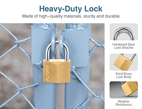 Puroma 1 Pack Keyed Padlock Waterproof Solid Brass Lock, 1.1 Inch Padlock with keys for Sheds, Storage Unit School Gym Locker, Fence, Toolbox, Hasp Storage