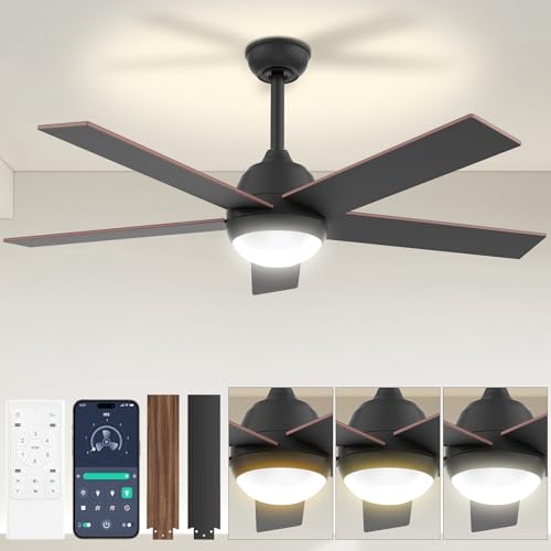 Ceiling Fan - 52 inch Outdoor Ceiling Fan with Light and Remote & APP Control, 6 Wind Speeds, 3 Color Temperatures, Smooth Dimming, Timing, Quiet Reversible DC Motor for Indoor and Outdoor-Gray