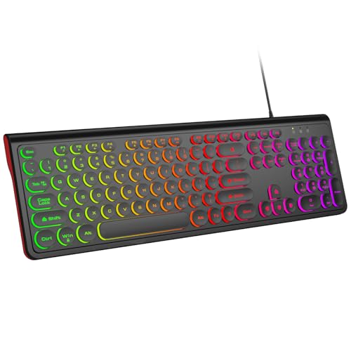 Dilter Large Print Wired Keyboard, 104 Keys Full-Sized Typewriter Keyboards, USB Plug and Play Office Keyboard with Number Pad, Caps Indicators, Foldable Stands for Windows, PC, Laptop