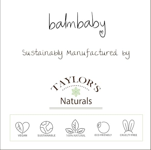 Kids All Natural Fluoride Free Toothpaste by Balm Baby Brand – SLS Free Toothpaste with Xylitol, Vegan, Gluten Free, BPA Free, Glass Jar Zero Waste Children’s Teeth Paste (2PK Mint)