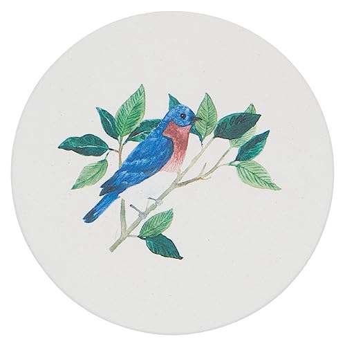 Now Design Set of 4 Soak Up Coasters, Birdsong