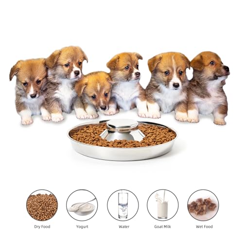 Thankspaw Stainless Steel Puppy Bowls, Set of 2 Puppy Feeder, Dog Food and Water Bowl, Food Feeding Weaning for Small Medium Large Dogs, Pets, S
