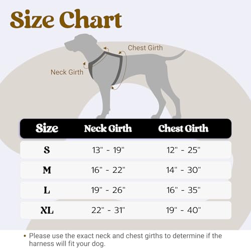 rabbitgoo Dog Harness Small Sized Dog, No Pull Pet Harness with Soft Padded Handle, Adjustable Reflective Vest with 3 Buckles, Easy Walking Harness with 2 Leash Clips, Black, S